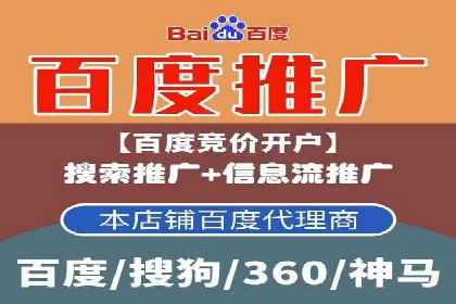 SEM网络推广案例：打造行业影响力品牌